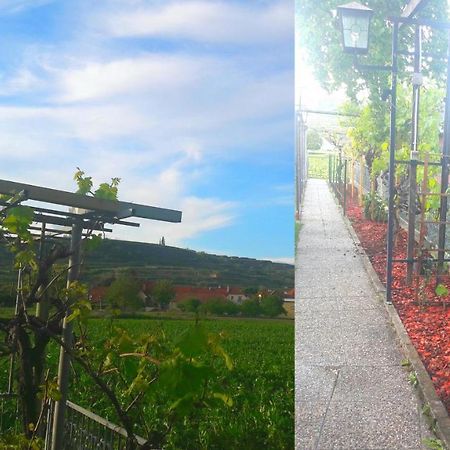 Apartmán Pansion Brda Rohrendorf bei Krems Exteriér fotografie